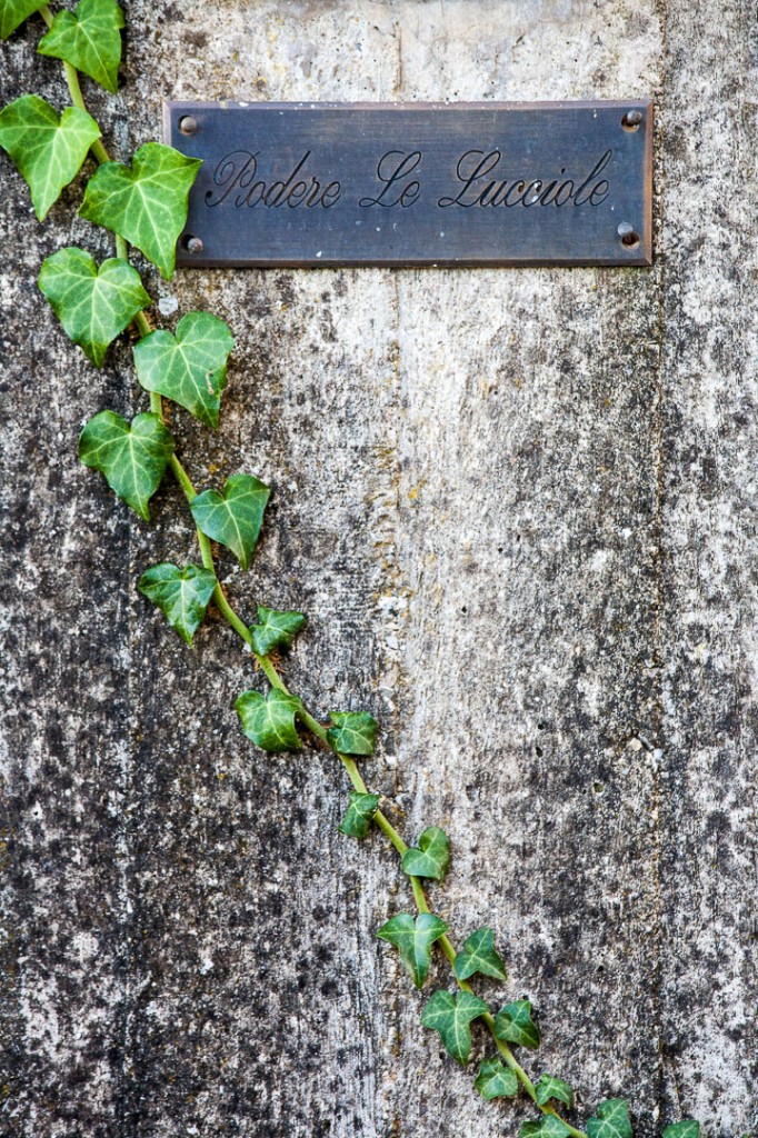 Podere Le Lucciole